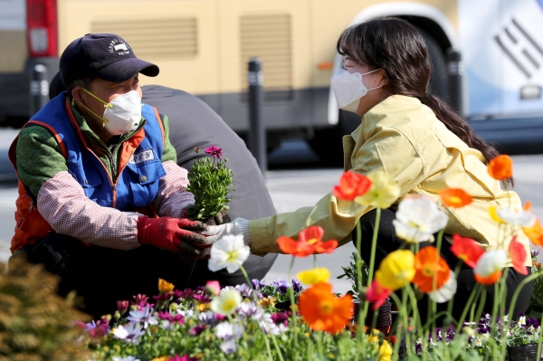 성동구청 공원녹지과 직원들이 3월 2일 서울 성동구 왕십리광장에서 봄꽃을 심고 있다. (사진=뉴시스)