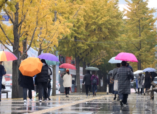 전국에 가을비가 내린 1일 서울 종로구 광화문 인근에서 시민들이 낙엽길을 걷고 있다.(사진=뉴시스)