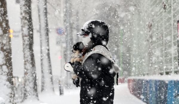 눈이 내린 12일 오후 경기 고양시 일산서구 한 거리에서 한 시민이 발걸음을 옮기고 있다. (사진=뉴시스)