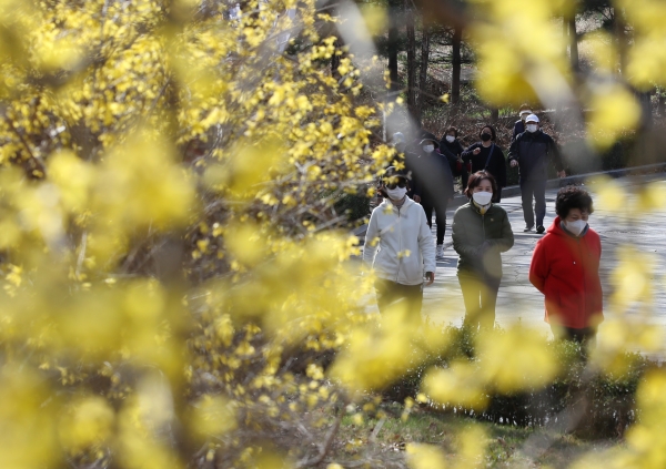 21일 오후 서울 광진구 어린이대공원에서 꽃샘추위에 두꺼운 옷차림에 장갑을 낀 시민들이 개나리 꽃길을 산책하고 있다.(사진=뉴시스)
