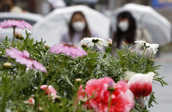 절기상 '춘분'이자 봄비가 내리는 20일 서울시청 인근에서 시민들이 우산을 쓰고 발걸음을 옮기고 있다. (사진=뉴시스)