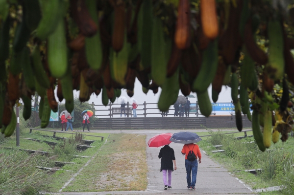 농작물에 이슬이 맺히고 가을의 시작을 알린다는 절기상 '백로(白露)'인 7일 오후 서울 마포구 하늘공원에서 시민들이 우산을 쓰고 산책을 하고 있다.(사진=뉴시스)