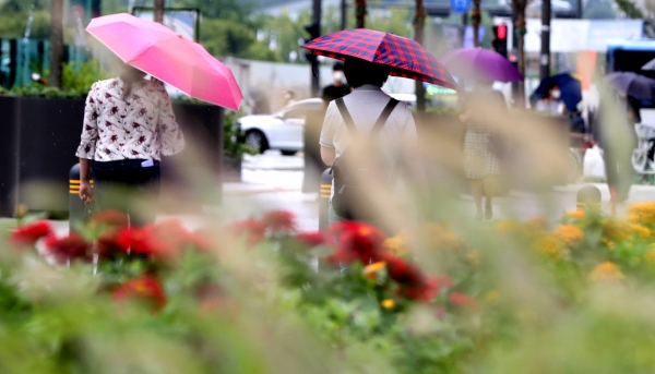 가을비가 내린 6일 오후 서울 중구 청계광장에서 우산을 쓴 시민들이 화단에 핀 수크령과 백일홍 사이를 지나고 있다. (사진=뉴시스)