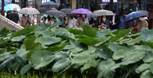 가을비가 내린 6일 오전 서울 중구 농업박물관 앞에서 우산을 쓴 시민들이 출근을 하고 있다. (사진=뉴시스)