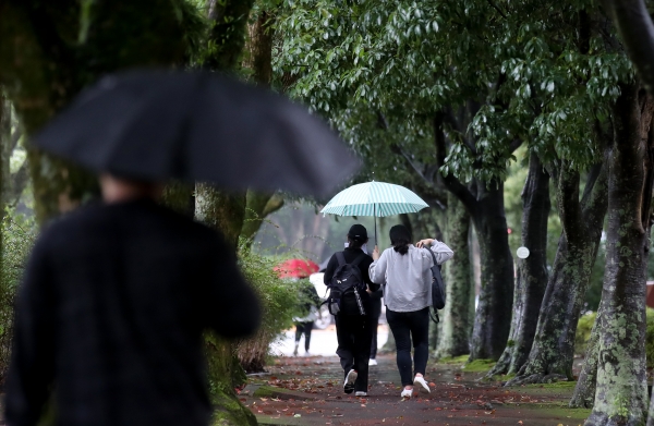 가을비가 촉촉히 내린 12일 오후 제주대학교 교정에서 우산을 쓴 학생들이 걸어가고 있다. (사진=뉴시스)