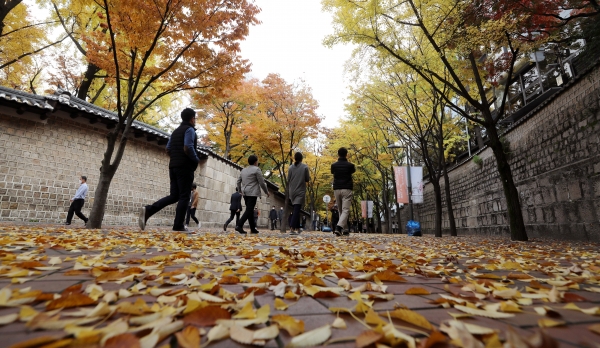 완연한 가을날씨를 보인 1일 오후 서울 중구 덕수궁 돌담길에서 시민들이 단풍과 함께 낙엽이 떨어진 거리를 지나고 있다.(사진=뉴시스)