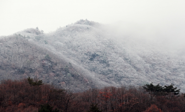 9일 경남 함양군 서상면 남덕유산에 첫 눈이 내려 하얗게 변해 있다. (사진=뉴시스)