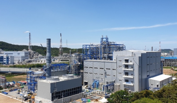 충남 서산시 대산읍에 위치한 서해그린에너지 바이오매스 에너지 설비. DL이앤씨는 이곳에 연간 14만 6000톤의 탄소를 포집해 활용하는 공장을 건설할 계획이다. (사진=DL이앤씨 제공)