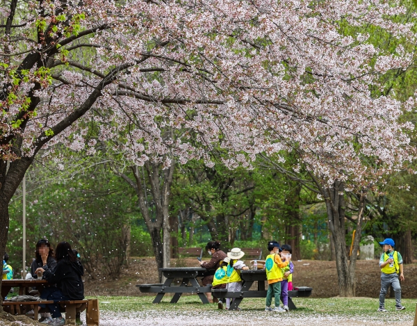 봄 날씨 (사진=연합뉴스)