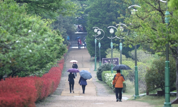 녹음이 우거진 부산 평화공원에 내리는 봄비 (사진=연합뉴스)