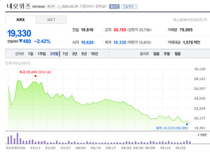 네오위즈, 단기 모멘텀 공백에 주가 '주춤'···목표주가 줄하향 - 뉴스 썸네일 이미지